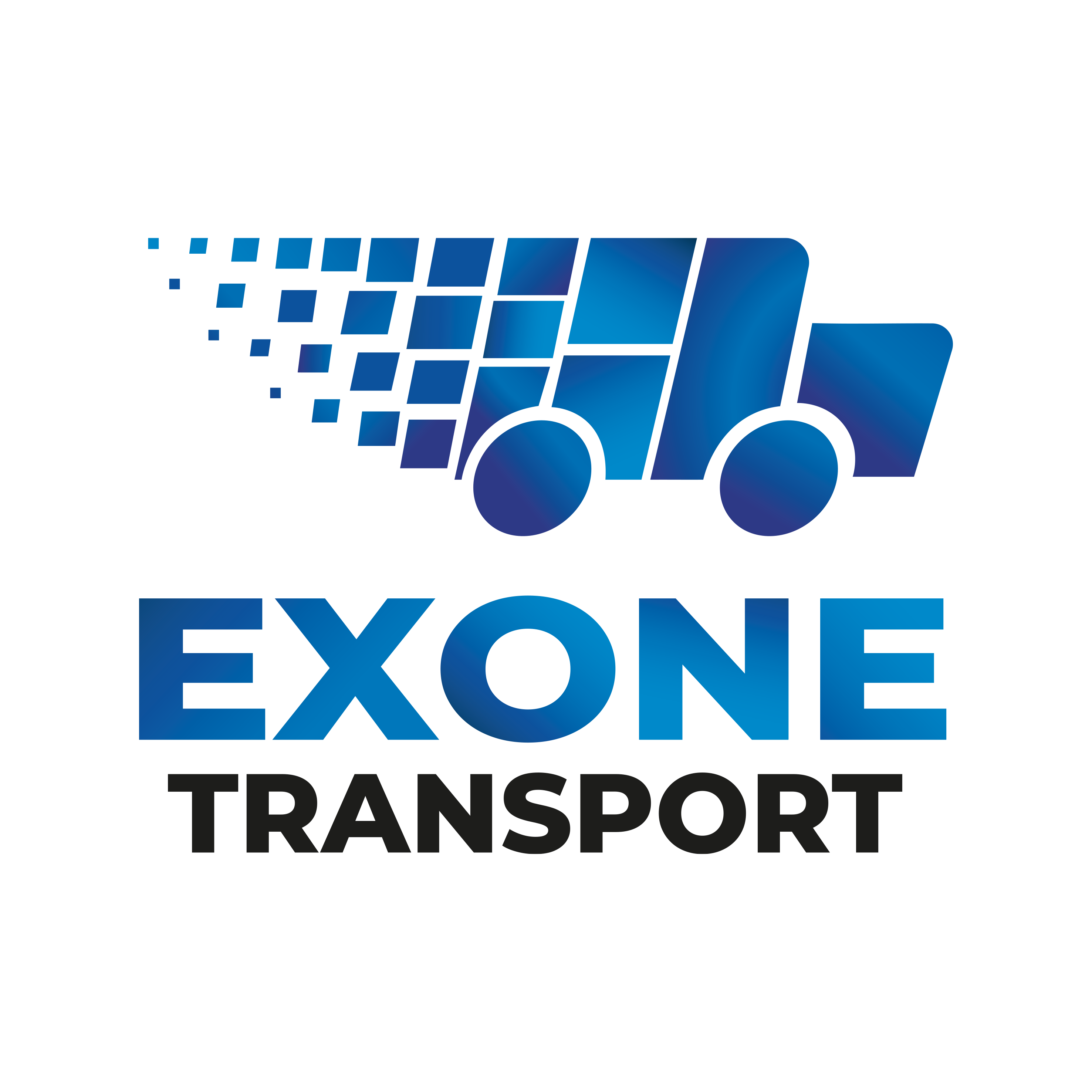 EXONE TRANSPORT